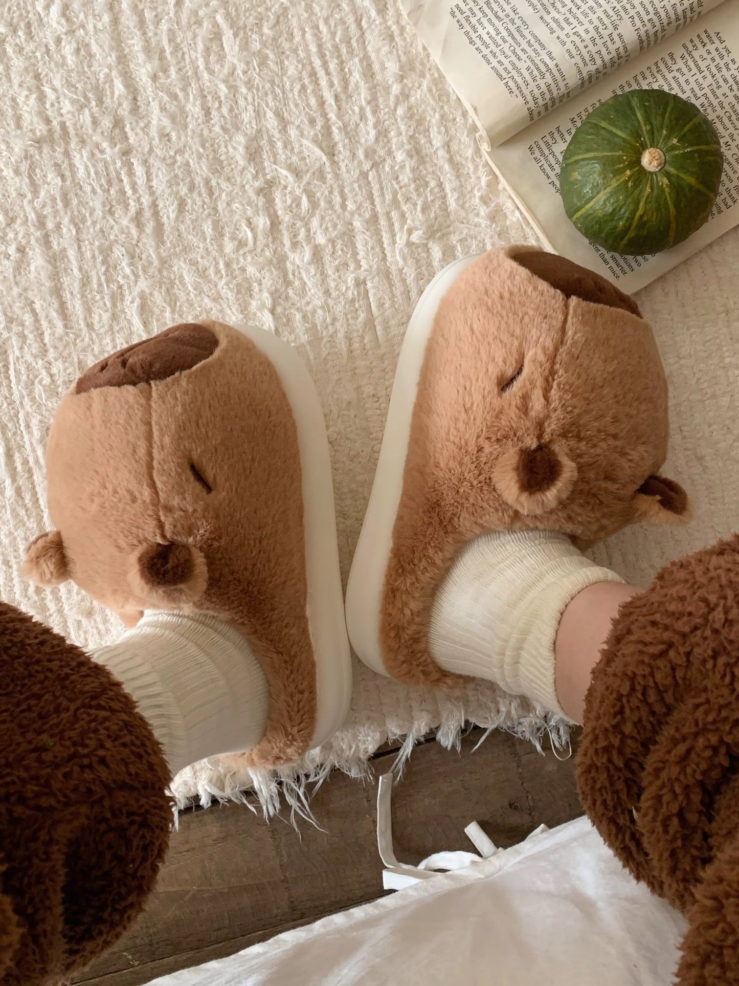 NEW Capybara Cozy Slippers